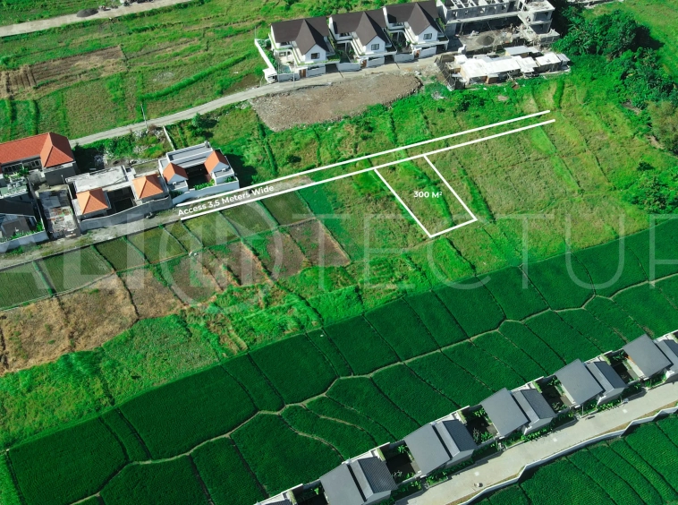 Prime 300 m² Freehold Land in Seseh, 700m from the Beach1