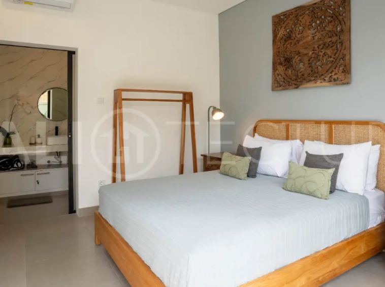 Fully Furnished Villa Near Pererenan, Move In Ready 3