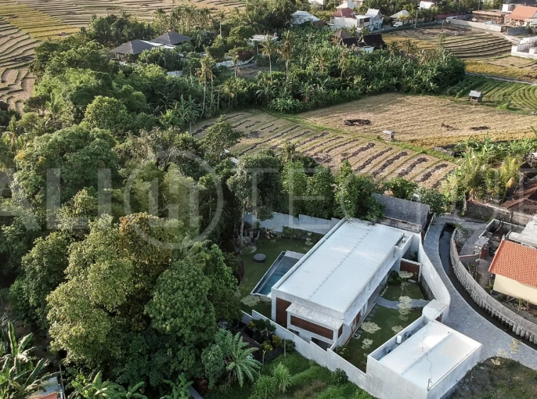 Riverside-Jungle-View-Villa-for-Sale-in-Pererenan-24
