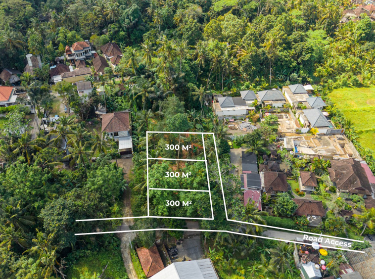 Prime 300 m² Leasehold Land in Ubud’s Peaceful Area 3