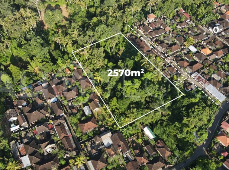 Residential-Land-for-Sale-in-a-Serene-Area-of-Mas-Ubud-1