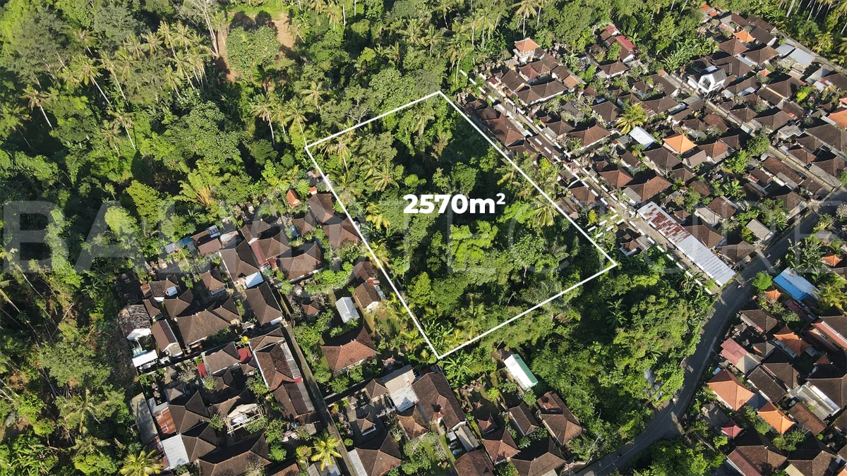Residential-Land-for-Sale-in-a-Serene-Area-of-Mas-Ubud-1
