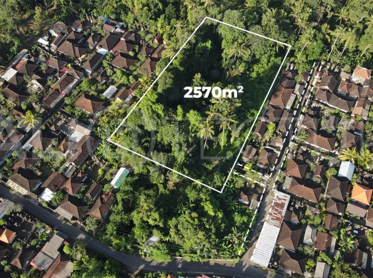 Residential-Land-for-Sale-in-a-Serene-Area-of-Mas-Ubud-2
