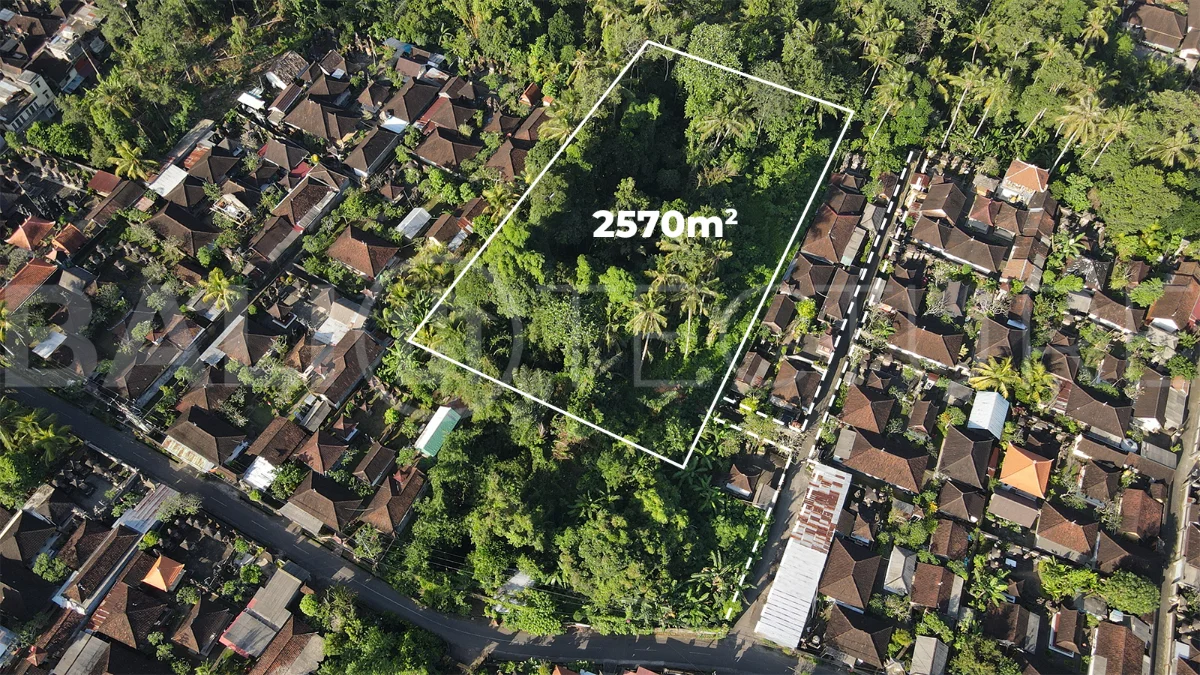 Residential-Land-for-Sale-in-a-Serene-Area-of-Mas-Ubud-2