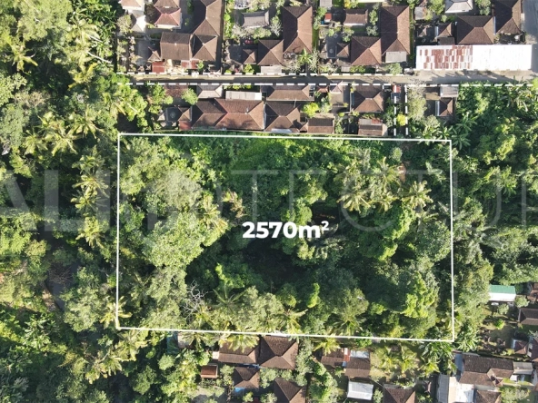 Residential-Land-for-Sale-in-a-Serene-Area-of-Mas-Ubud-3