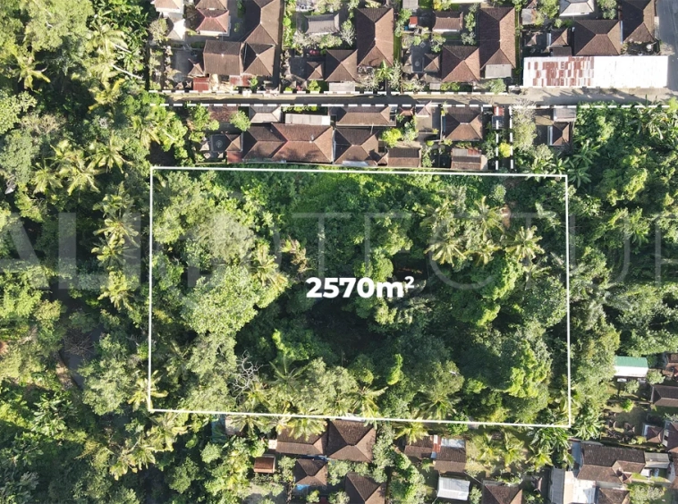 Residential-Land-for-Sale-in-a-Serene-Area-of-Mas-Ubud-3