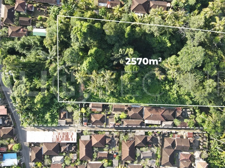 Residential-Land-for-Sale-in-a-Serene-Area-of-Mas-Ubud-5