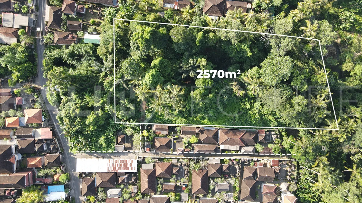 Residential-Land-for-Sale-in-a-Serene-Area-of-Mas-Ubud-5