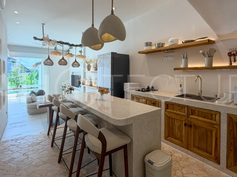 Brand-New-Charming-Villa-for-Sale-in-Padonan-Canggu-26