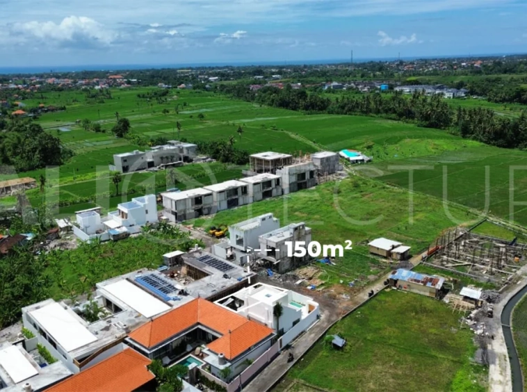 Rare-Ricefield-View-Land-for-Sale-in-Munggu-6