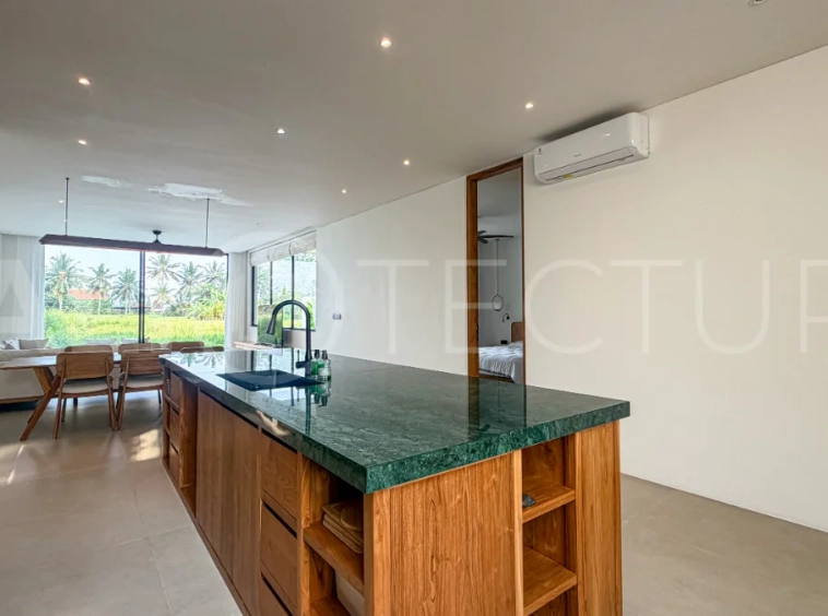 Brand-New-Ricefield-View-3-Bedroom-Villa-for-Sale-in-Ubud-23