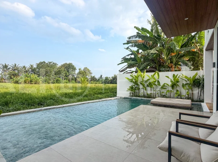 Brand-New-Ricefield-View-3-Bedroom-Villa-for-Sale-in-Ubud-7