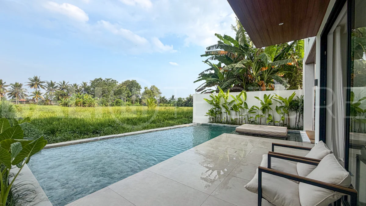 Brand-New-Ricefield-View-3-Bedroom-Villa-for-Sale-in-Ubud-7