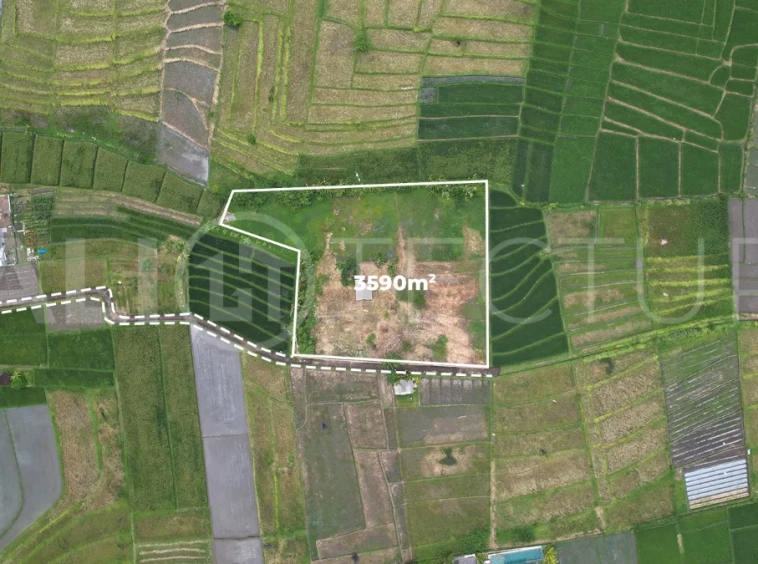 Ricefield-View-Land-for-Sale-near-Nyanyi-Beach-Bali-1