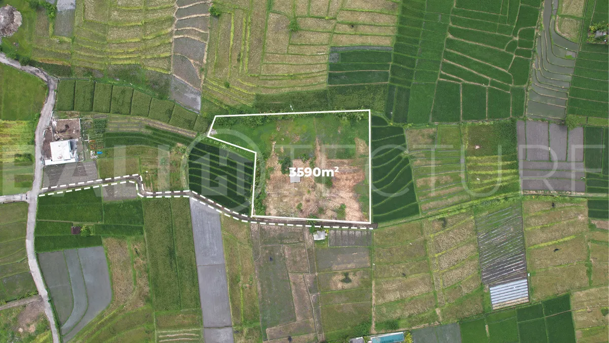 Ricefield-View-Land-for-Sale-near-Nyanyi-Beach-Bali-1