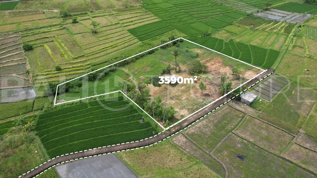 Ricefield-View-Land-for-Sale-near-Nyanyi-Beach-Bali-2