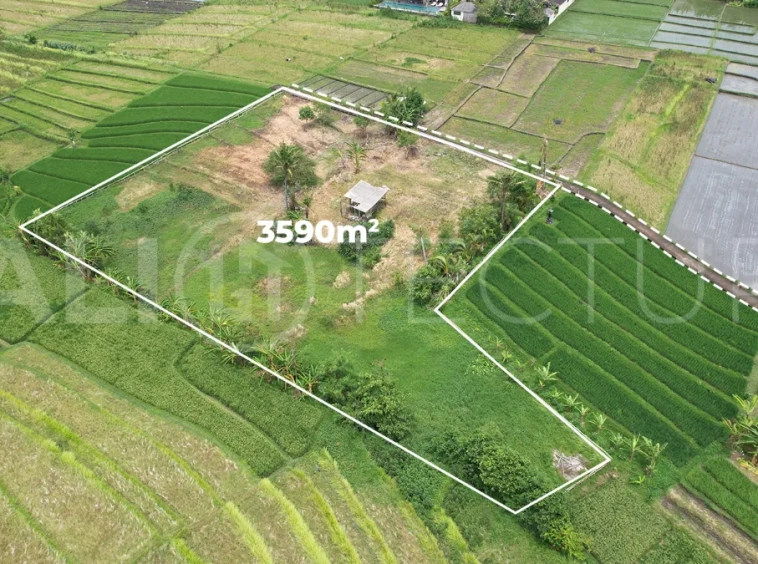 Ricefield-View-Land-for-Sale-near-Nyanyi-Beach-Bali-3
