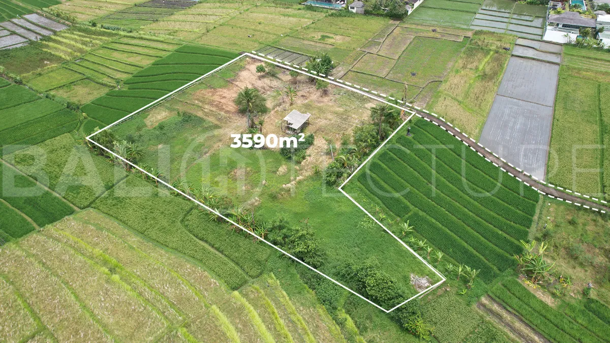 Ricefield-View-Land-for-Sale-near-Nyanyi-Beach-Bali-3