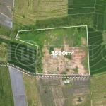 Ricefield-View-Land-for-Sale-near-Nyanyi-Beach-Bali-5