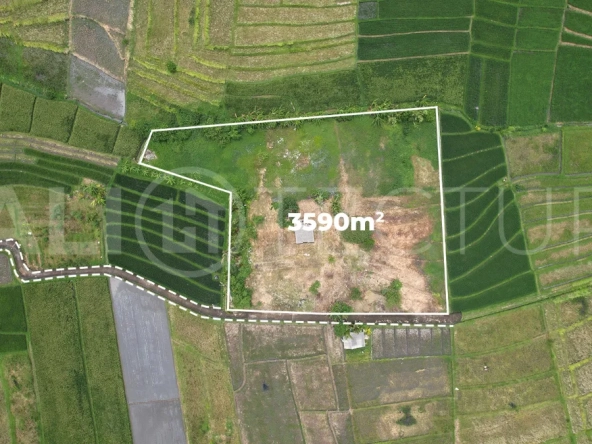 Ricefield-View-Land-for-Sale-near-Nyanyi-Beach-Bali-5