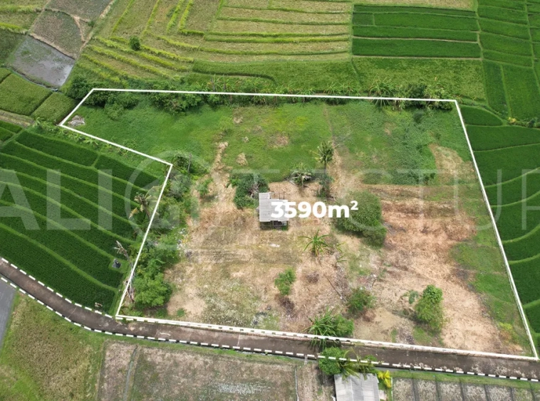 Ricefield-View-Land-for-Sale-near-Nyanyi-Beach-Bali-6