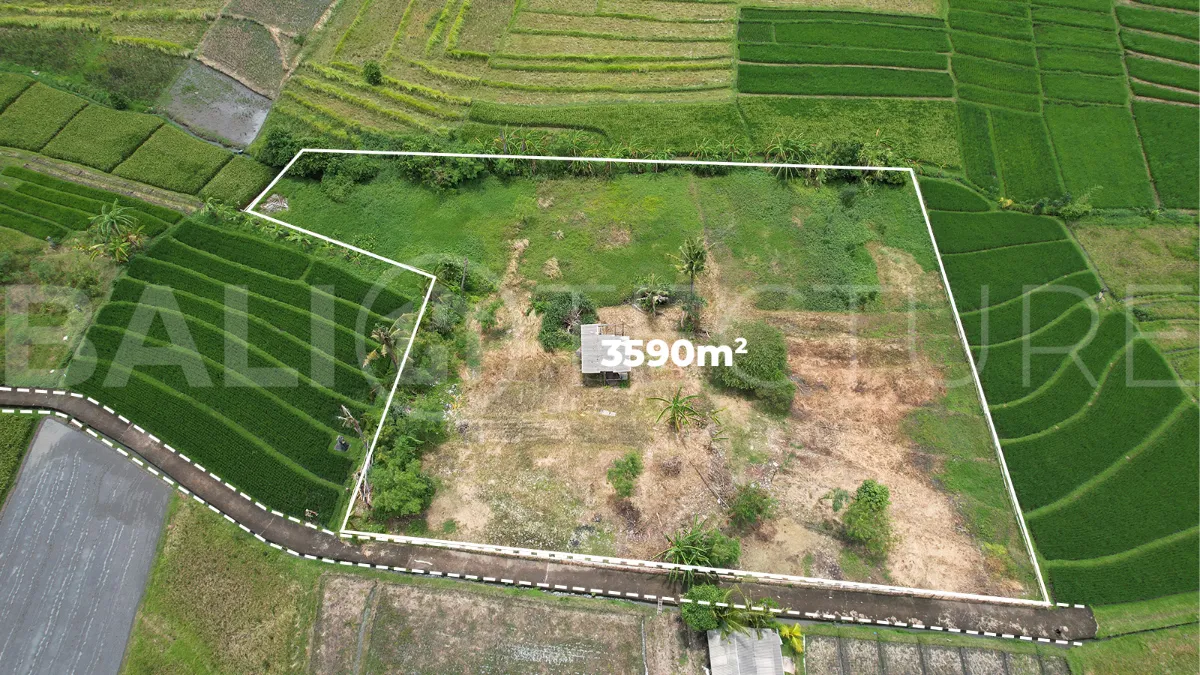 Ricefield-View-Land-for-Sale-near-Nyanyi-Beach-Bali-6