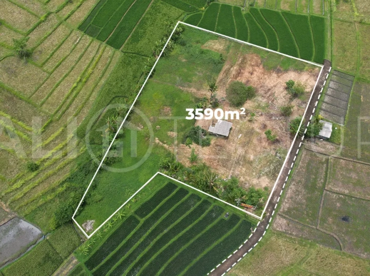 Ricefield-View-Land-for-Sale-near-Nyanyi-Beach-Bali-7