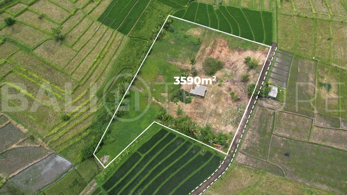 Ricefield-View-Land-for-Sale-near-Nyanyi-Beach-Bali-7
