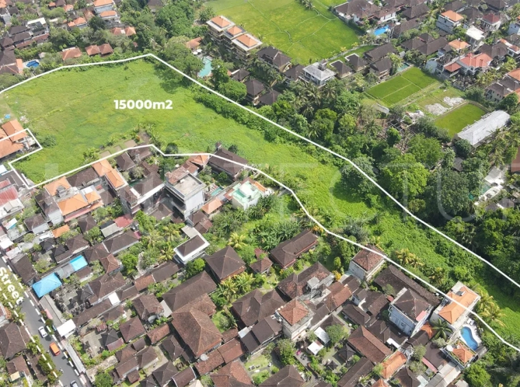 Strategic-15000m²-Land-for-Sale-in-a-Prime-Area-of-Ubud-4