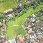 Strategic-15000m²-Land-for-Sale-in-a-Prime-Area-of-Ubud-5
