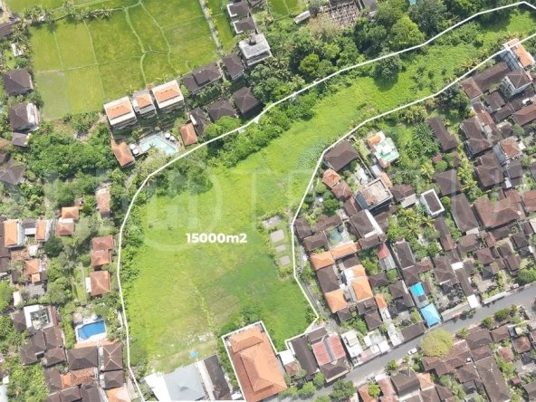 Strategic-15000m²-Land-for-Sale-in-a-Prime-Area-of-Ubud-5