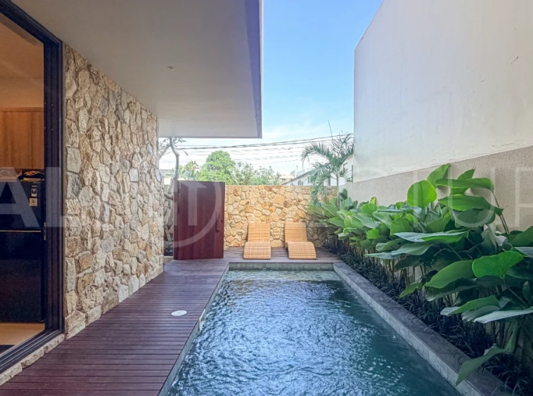 Brand-New-2-Bedroom-Villa-for-Sale-in-a-Quite-Area-of-Pererenan-1