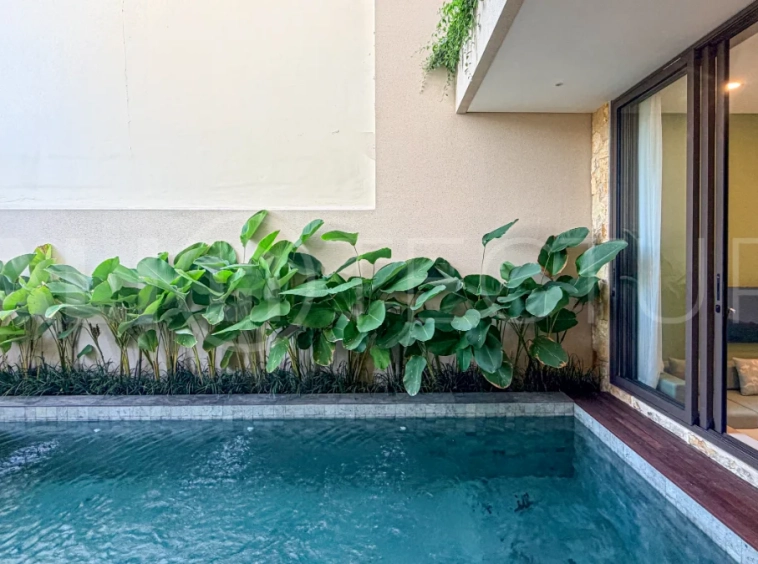 Brand-New-2-Bedroom-Villa-for-Sale-in-a-Quite-Area-of-Pererenan-2