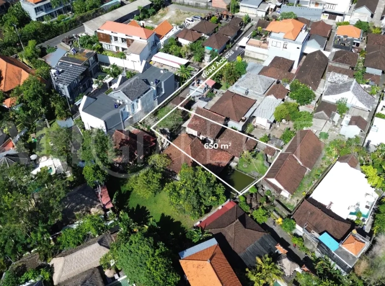 650 sqm Residential Land in Canggu4