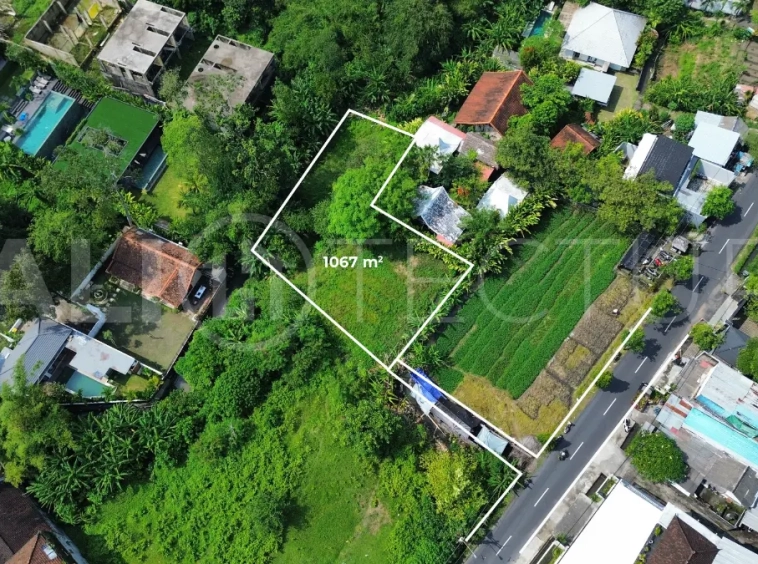 1,067 sqm Residential Land in Padonan with Strong Investment Potential3