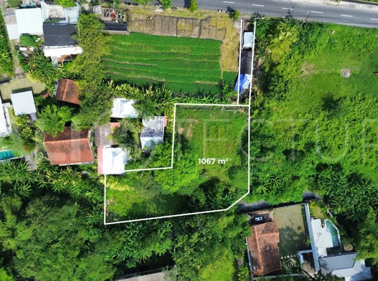 1,067 sqm Residential Land in Padonan with Strong Investment Potential7