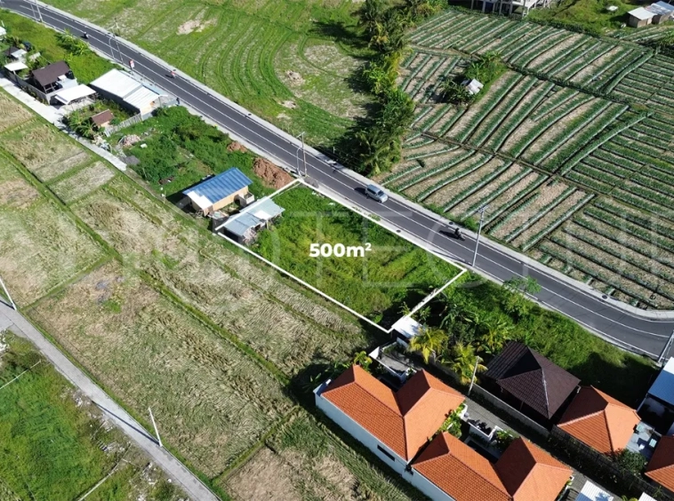 Prime-Coastal-Land-with-Lush-Green-Views-for-Sale-in-Cemagi-2