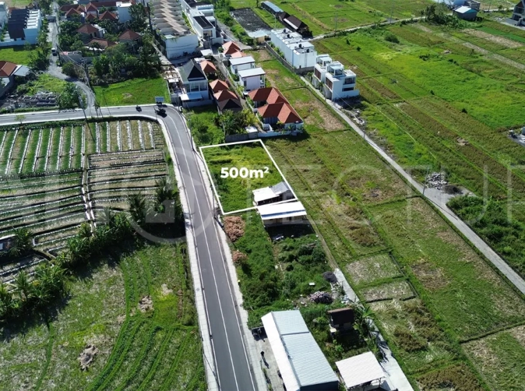 Prime-Coastal-Land-with-Lush-Green-Views-for-Sale-in-Cemagi-3