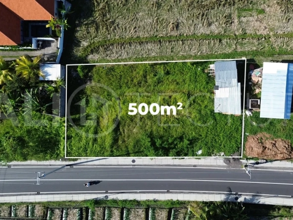 Prime-Coastal-Land-with-Lush-Green-Views-for-Sale-in-Cemagi-4