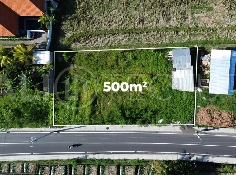 Prime-Coastal-Land-with-Lush-Green-Views-for-Sale-in-Cemagi-4