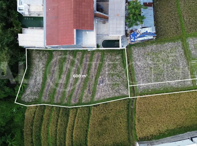 Prime 600 sqm Land in Seseh – Walking Distance to the Beach6