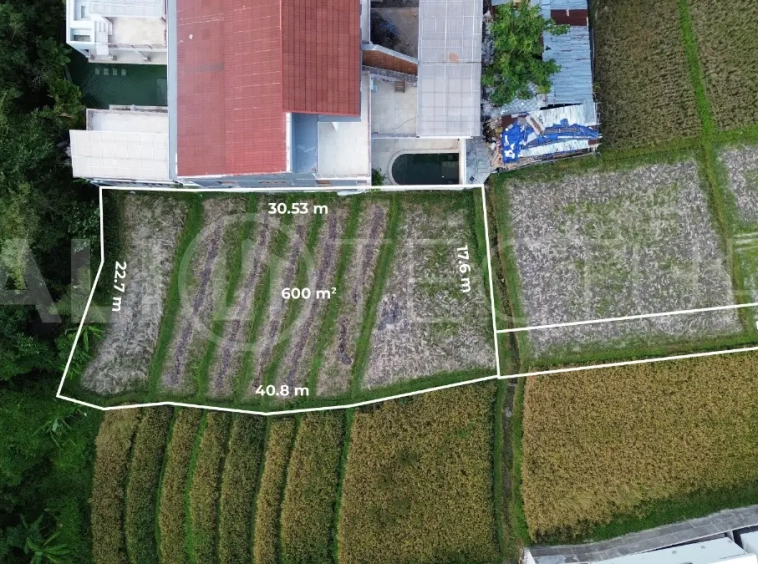 Prime 600 sqm Land in Seseh – Walking Distance to the Beach1