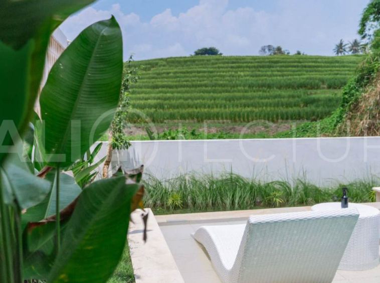 Modern Tropical Villa with Sunset Rice Field Views in Babakan3