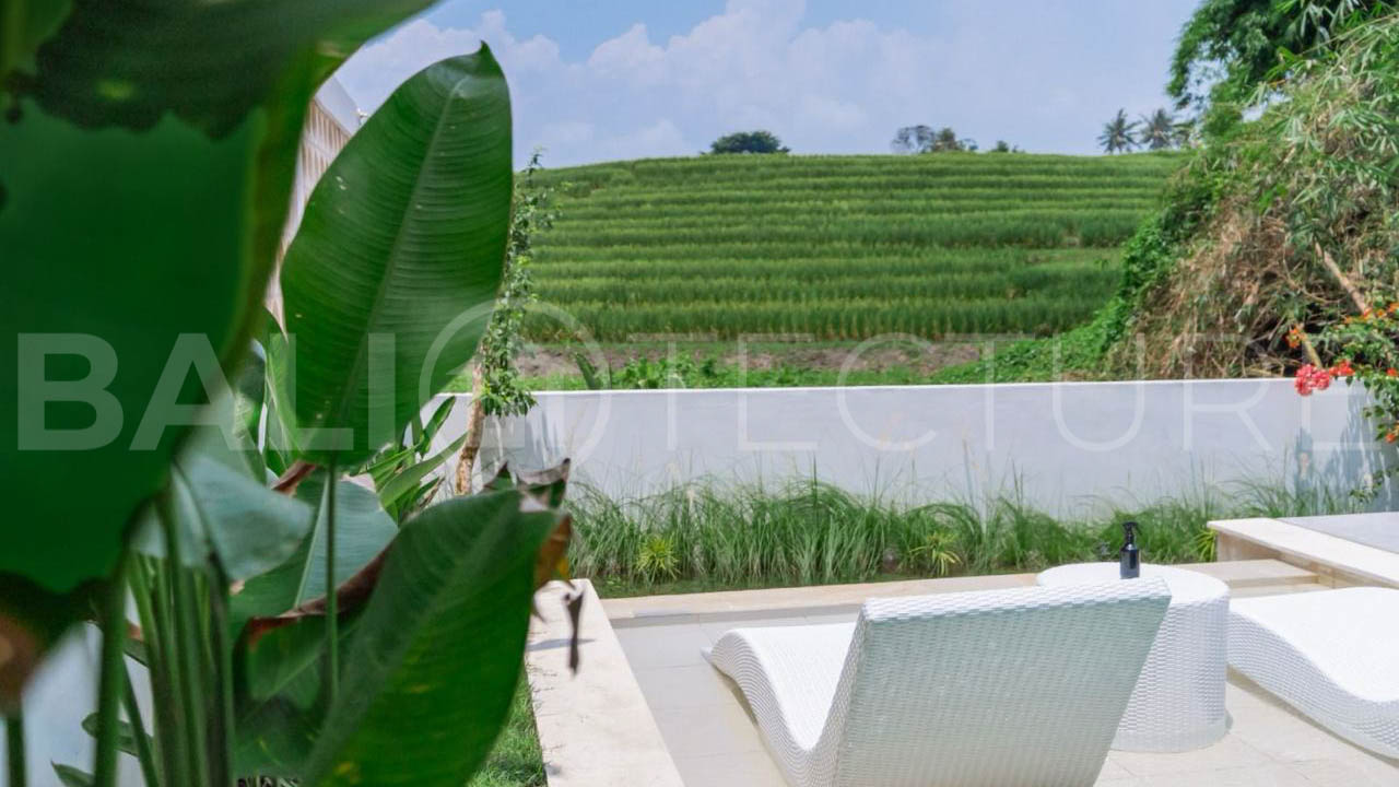 Modern Tropical Villa with Sunset Rice Field Views in Babakan3
