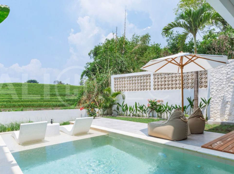 Modern Tropical Villa with Sunset Rice Field Views in Babakan5