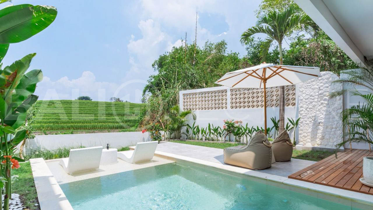 Modern Tropical Villa with Sunset Rice Field Views in Babakan5