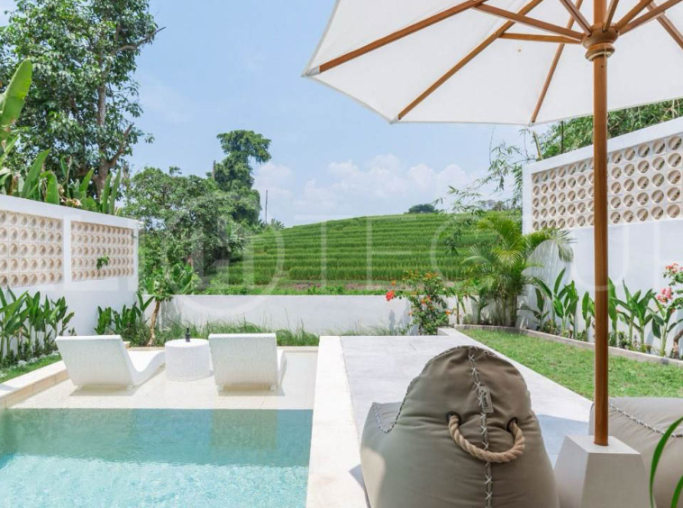 Modern Tropical Villa with Sunset Rice Field Views in Babakan6