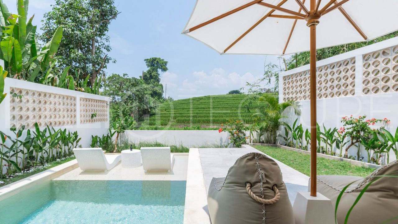 Modern Tropical Villa with Sunset Rice Field Views in Babakan6