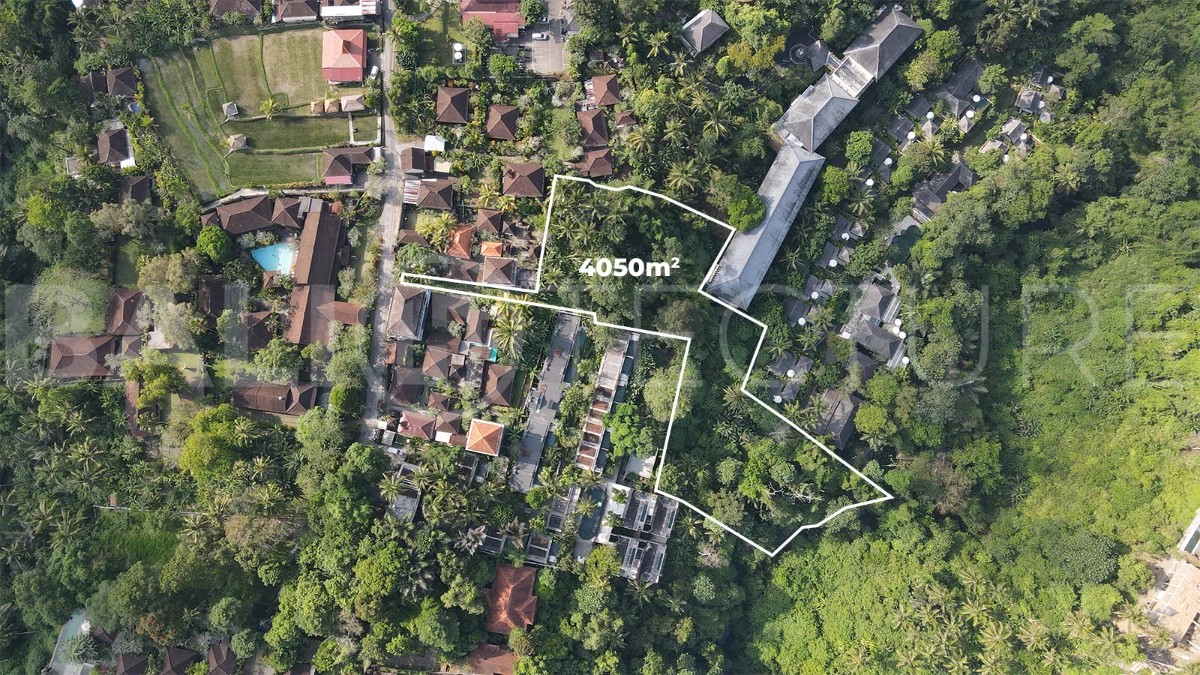 4050m2-Premium-Land-for-Sale-Ideal-for-Development-in-a-Touristic-Area-of-Ubud-3