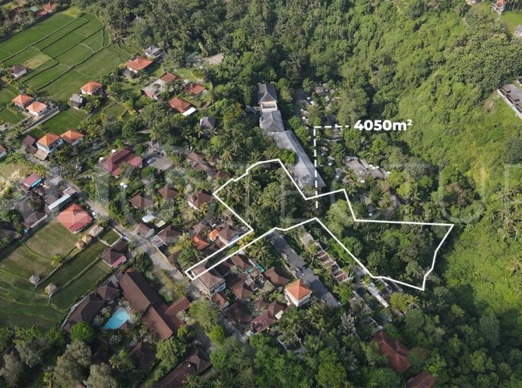 4050m2-Premium-Land-for-Sale-Ideal-for-Development-in-a-Touristic-Area-of-Ubud-4
